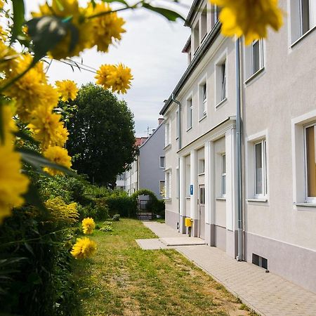 Apartament Na Wspolnej 埃尔布隆格 外观 照片