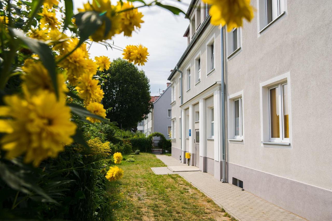 Apartament Na Wspolnej 埃尔布隆格 外观 照片